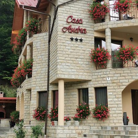 Casa Andra Slanic Moldova Exterior photo