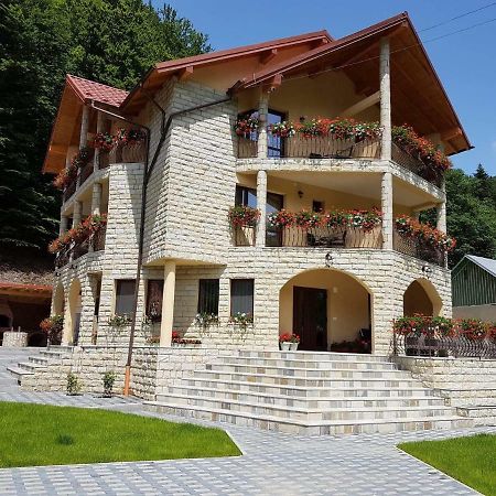 Casa Andra Slanic Moldova Exterior photo