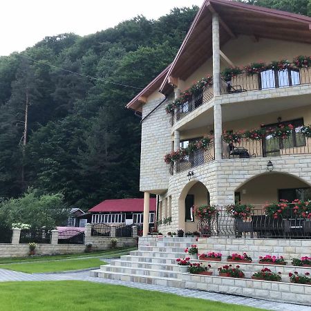 Casa Andra Slanic Moldova Exterior photo
