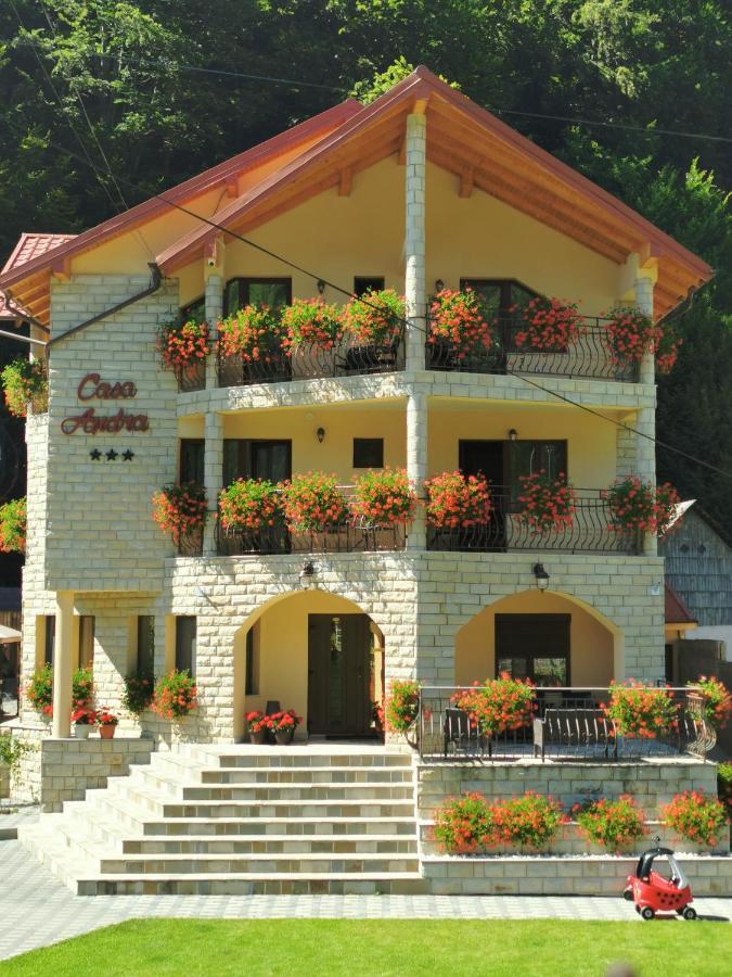 Casa Andra Slanic Moldova Exterior photo