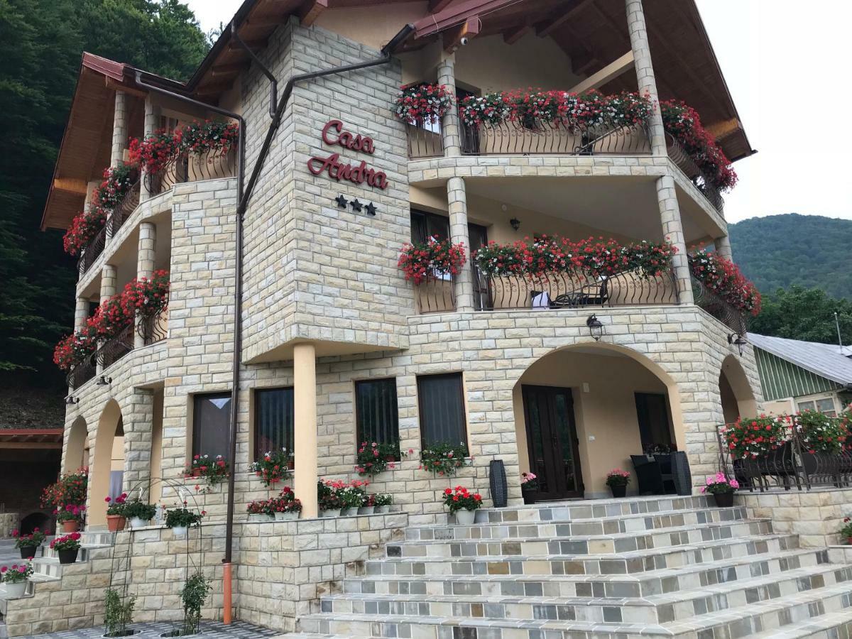 Casa Andra Slanic Moldova Exterior photo