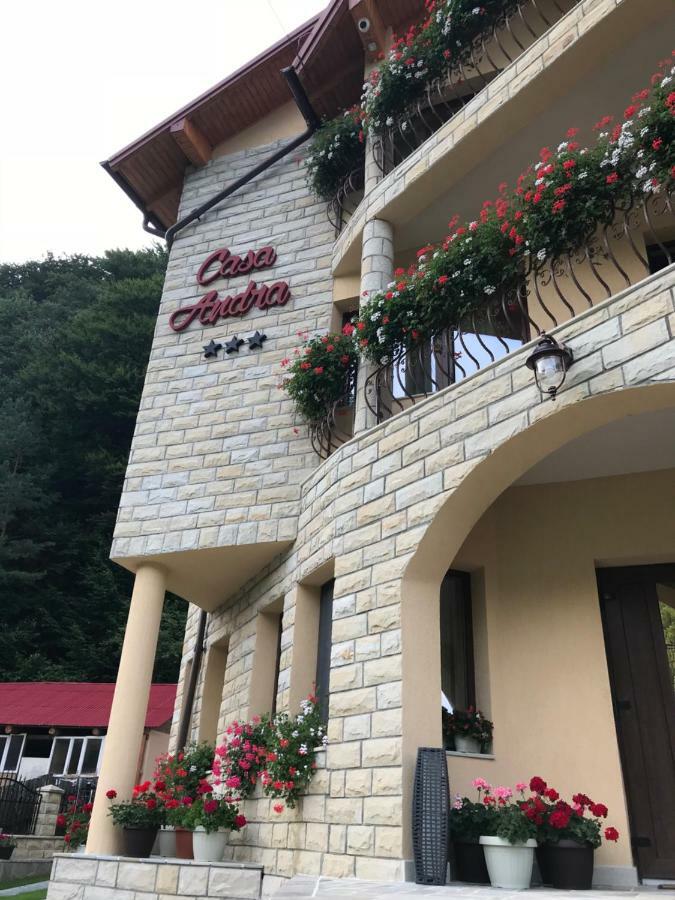Casa Andra Slanic Moldova Exterior photo